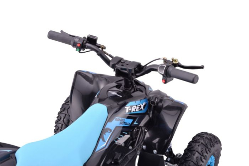 Preview: Elektro Quad T-REX 1300W 48V 6"